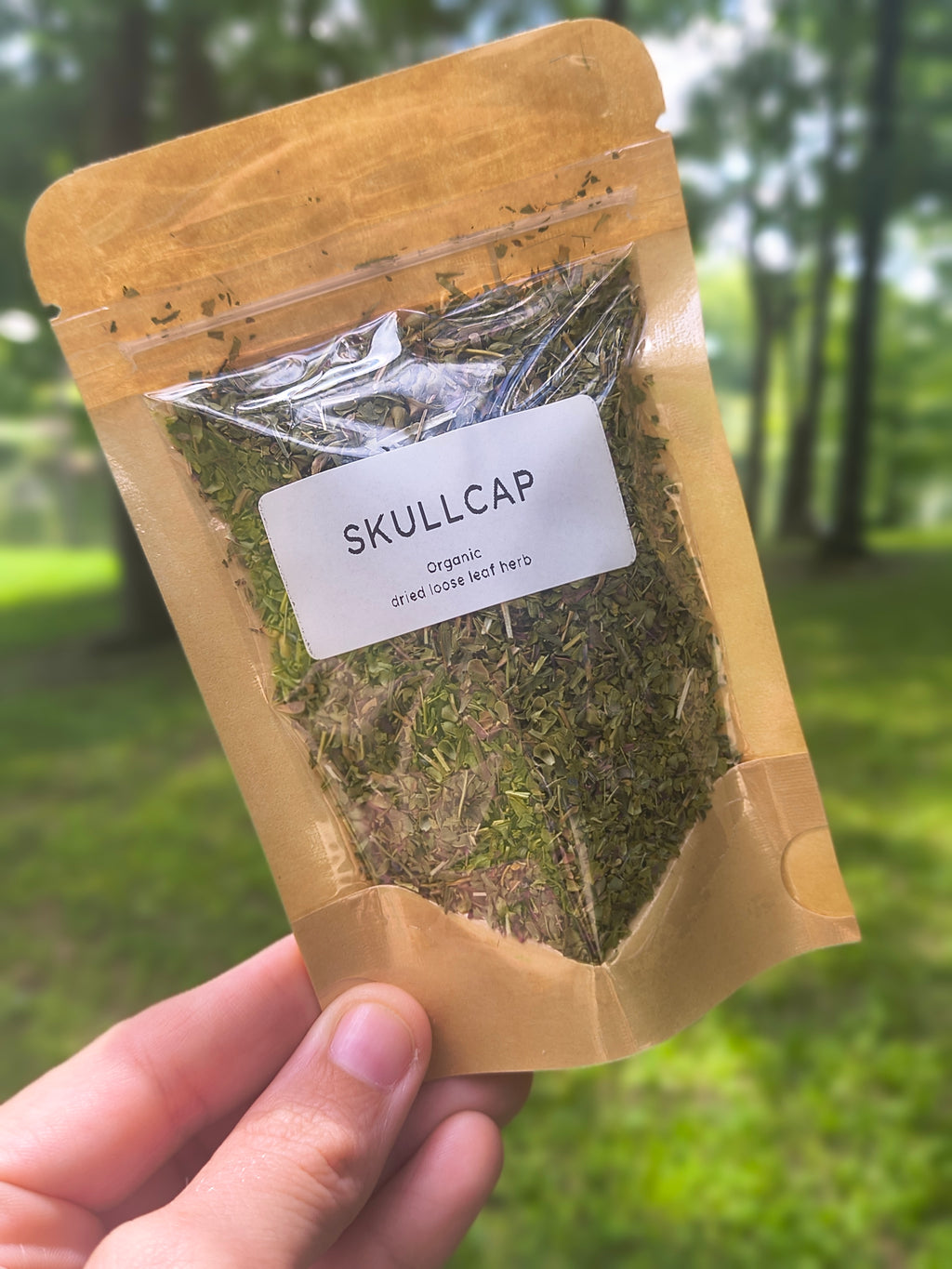 Organic Skullcap