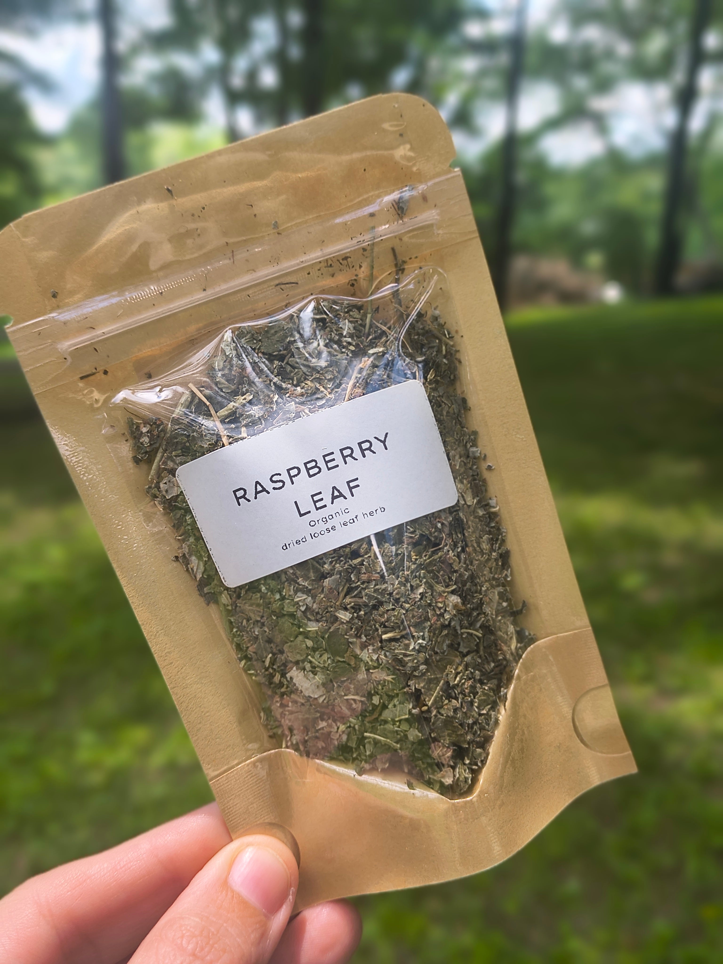 Organic Raspberry Leaf