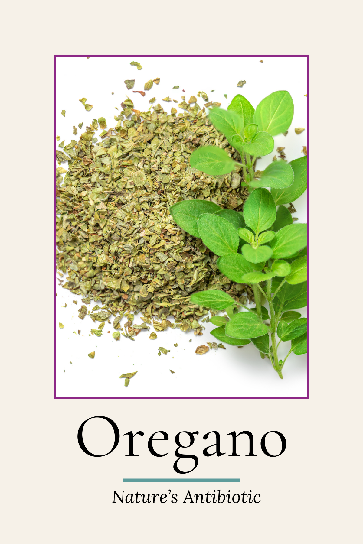 Herbal Reference Cards
